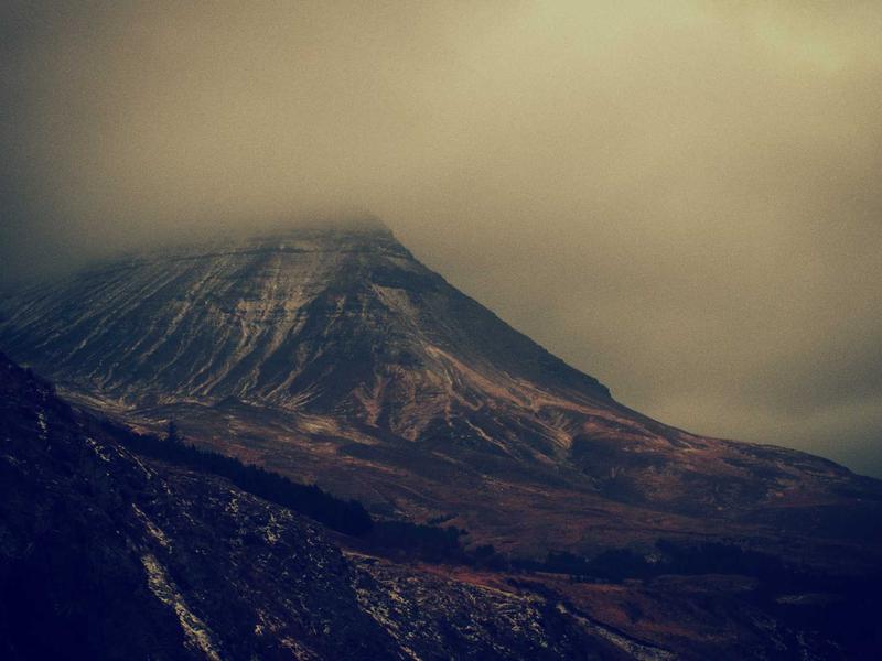 杏林密档<br>医疗资讯与学术交流专号